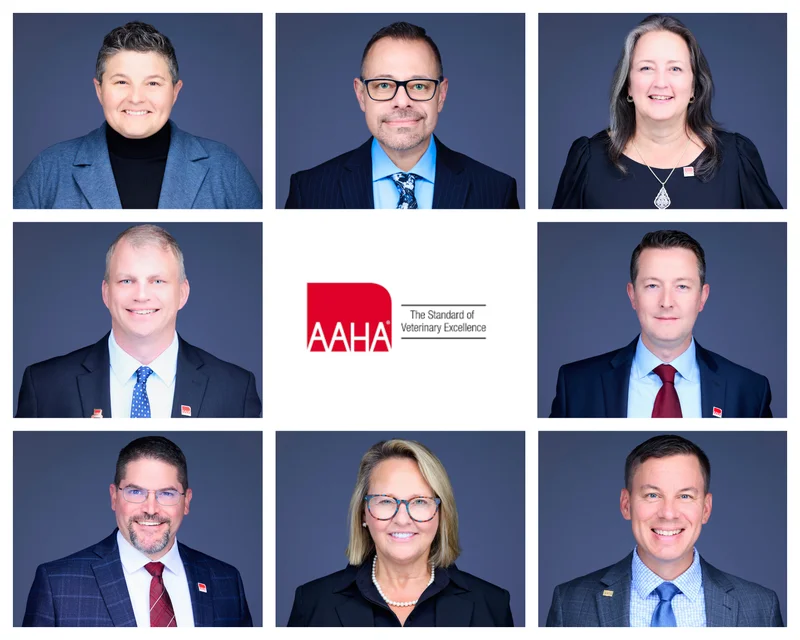 AAHA Group Headshots Philadelphia