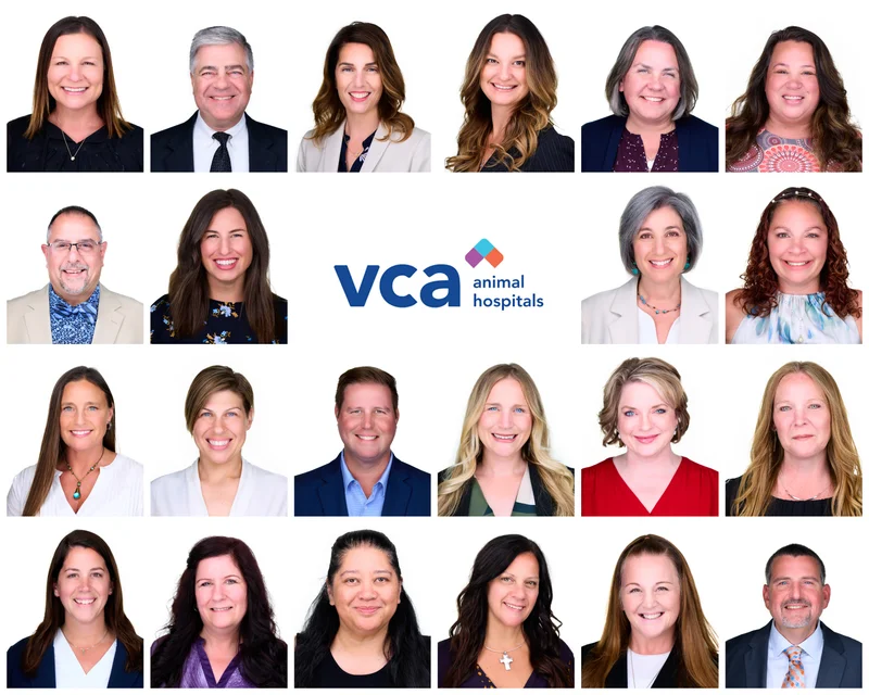 VCA Group Headshots Philadelphia