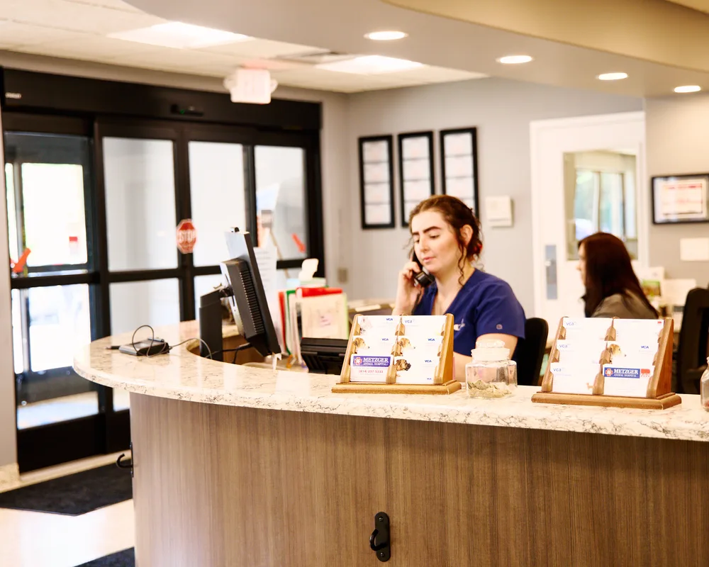 Animal hospital front desk team headshot — veterinary receptionist in scrubs photographed on-site at VCA Metzger by Isolde Baylor VMD