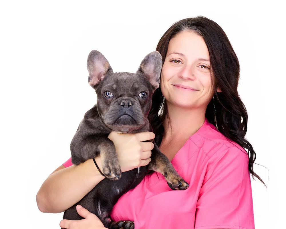Veterinarian in pink scrubs holding a blue French bulldog puppy patient in an on-site studio-lit team headshot at a Philadelphia animal hospital