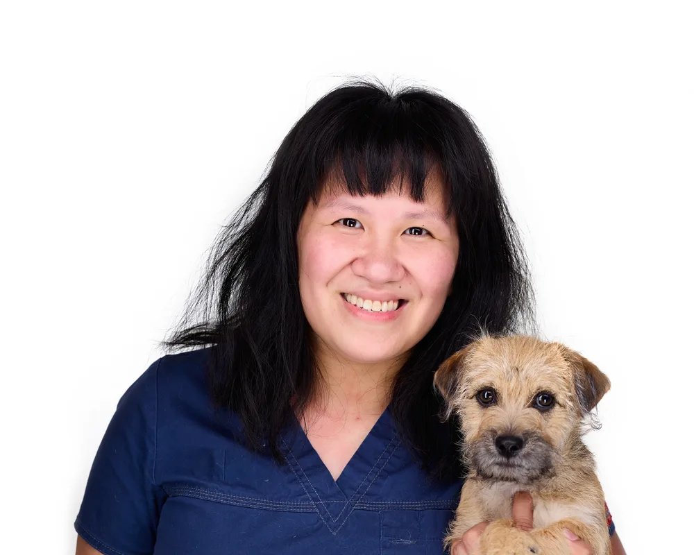 Veterinarian in navy scrubs holding a Border Terrier puppy patient — on-site clinic team headshot with professional studio lighting