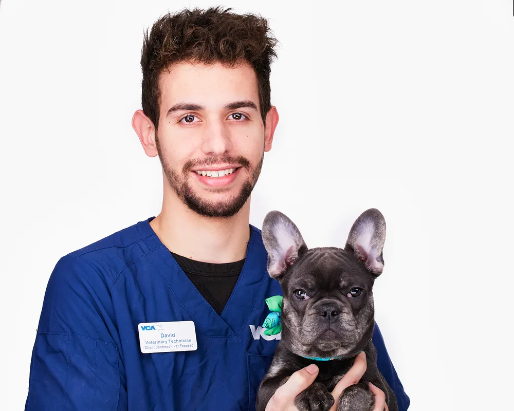 VCA veterinary technician in scrubs with French bulldog patient — on-site team headshot taken inside an animal hospital by Isolde Baylor VMD